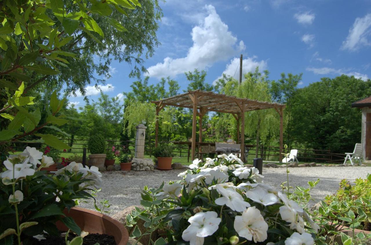 Bed and Breakfast Bb Il Grande Salice Bike Friends Ponti sul Mincio Zewnętrze zdjęcie