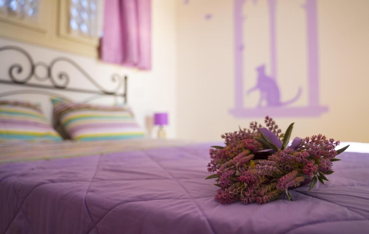 Bed and Breakfast Bb Il Grande Salice Bike Friends Ponti sul Mincio Zewnętrze zdjęcie